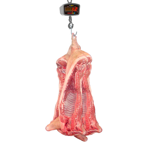 Báscula Electrónica Colgante 1,000 kg