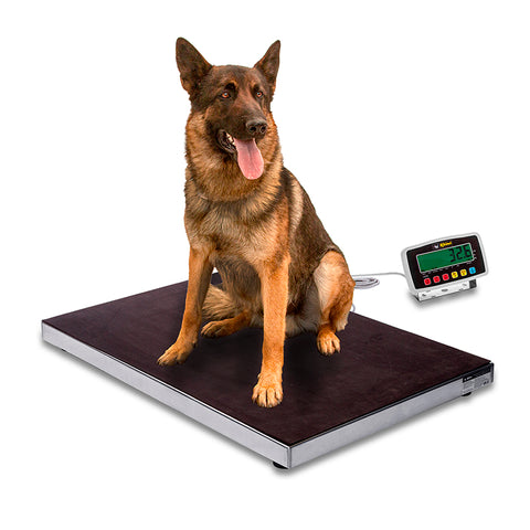 Plataforma Veterinaria 200 kg