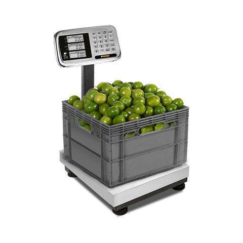 Báscula de Plataforma Plegable 80 kg