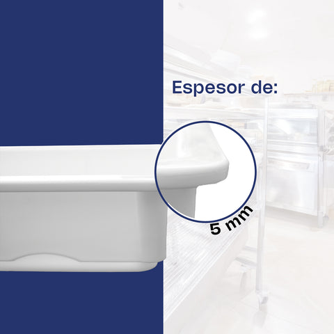 Caja de Polipropileno para Masa de Pizza