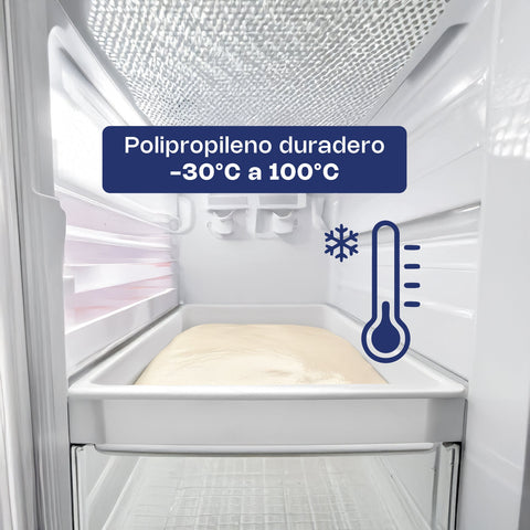 Caja de Polipropileno para Masa de Pizza