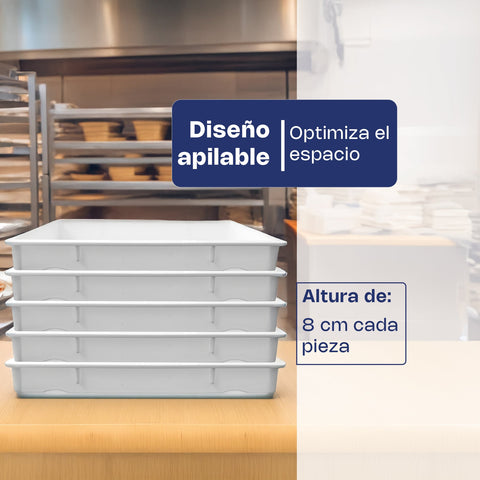 Caja de Polipropileno para Masa de Pizza