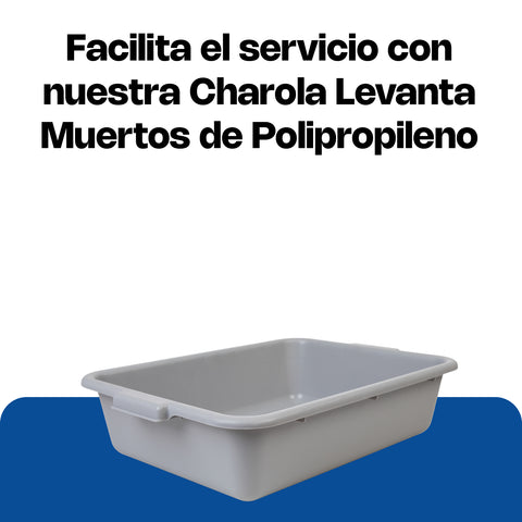 Charola de servicio