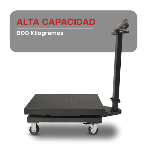 Báscula de Plataforma Plegable 800 kg