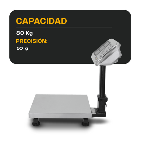 Báscula de Plataforma Plegable 80 kg
