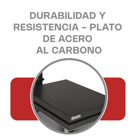 Báscula de Plataforma Plegable 800 kg
