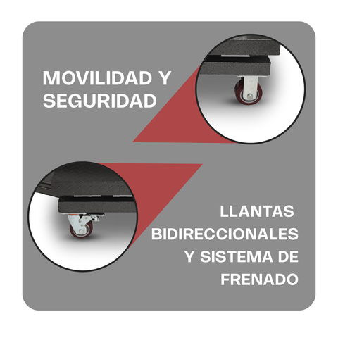 Báscula de Plataforma Plegable 800 kg