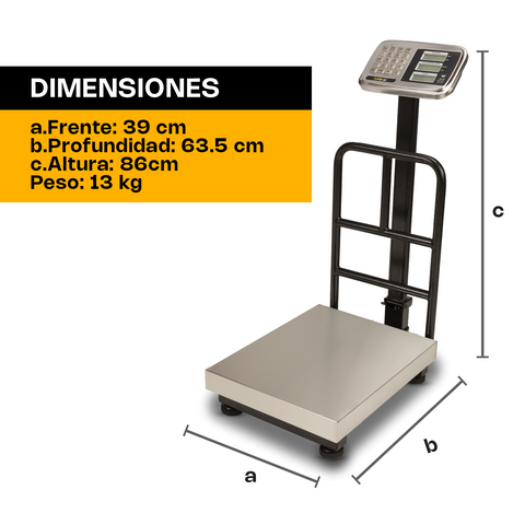 Báscula de Plataforma Plegable 200 kg