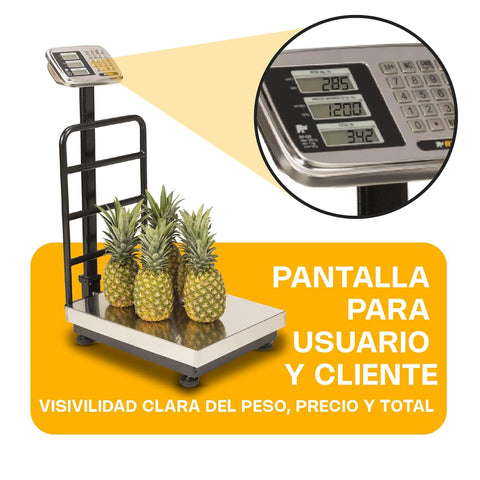 Báscula de Plataforma Plegable 500 kg
