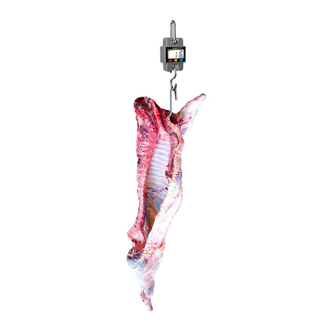 Báscula Electrónica Colgante 300 kg