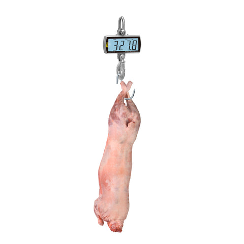 Báscula Electrónica Colgante 500 kg