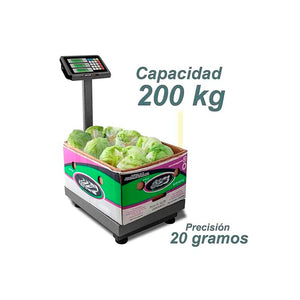 Báscula de Plataforma Plegable 200 kg