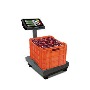 Báscula de Plataforma Plegable 80 kg