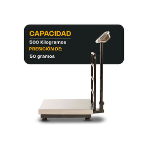 Báscula de Plataforma Plegable 500 kg