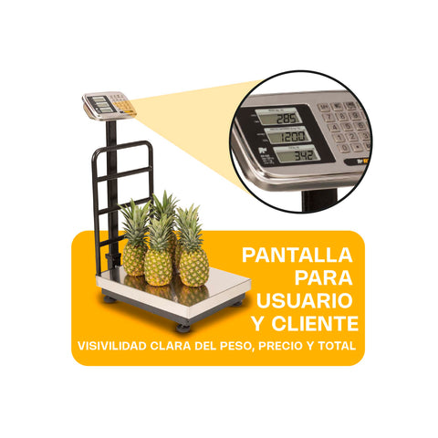 Báscula de Plataforma Plegable 500 kg