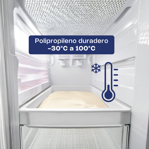 Caja de Polipropileno para Masa de Pizza