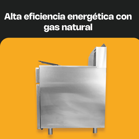 Freidora de gas natural