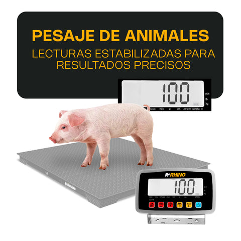 Indicador de Peso Inalámbrico