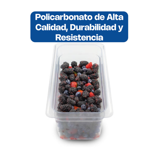 Inserto de Policarbonato Cuarto