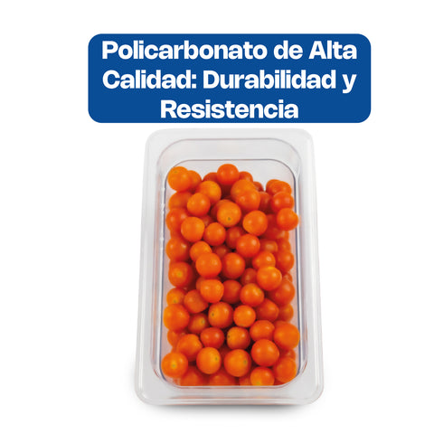 Inserto de Policarbonato Cuarto