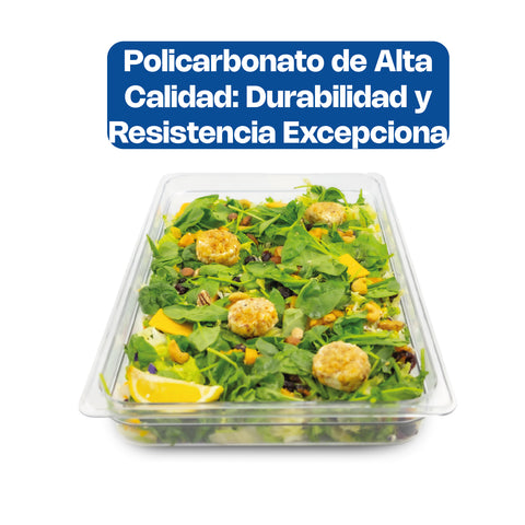 Inserto de Policarbonato Entero