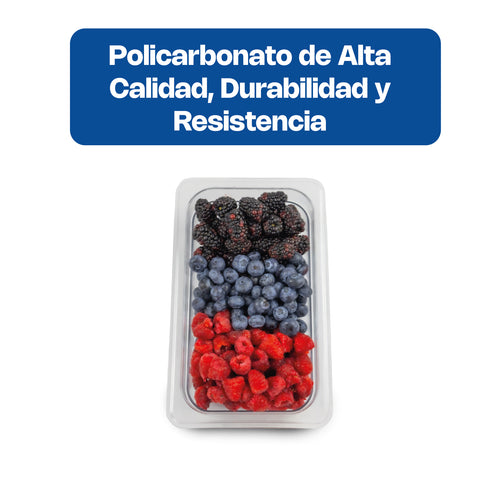 Inserto de Policarbonato Tercio