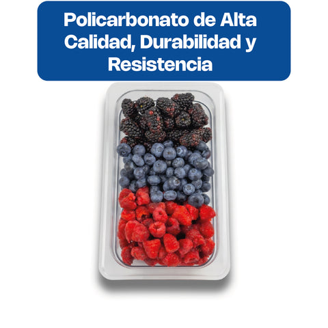 Inserto de Policarbonato Tercio