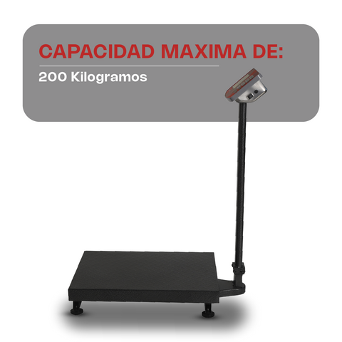 Plataforma Plegable 200 kg