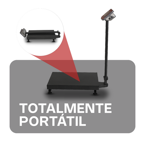 Plataforma Plegable 200 kg