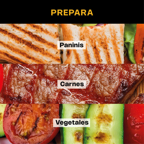 Plancha Panini