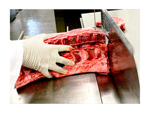 Sierra Carnicera Cinta 295 cm